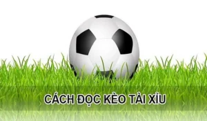 Bí Quyết Và Cách Chơi Kèo Tài Xỉu Đỉnh Cao Luôn Thắng