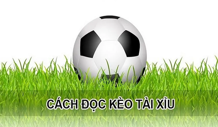 Bí Quyết Và Cách Chơi Kèo Tài Xỉu Đỉnh Cao Luôn Thắng