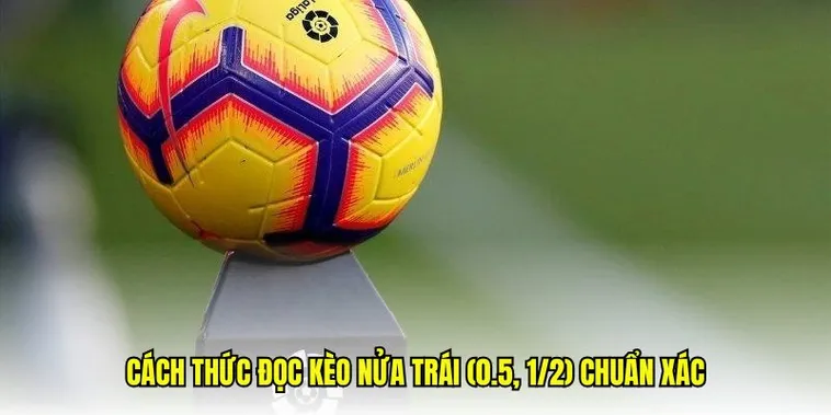 Tổng Hợp Cách Chơi Kèo Chấp 0.5 Chi Tiết Và Dễ Hiểu Nhất