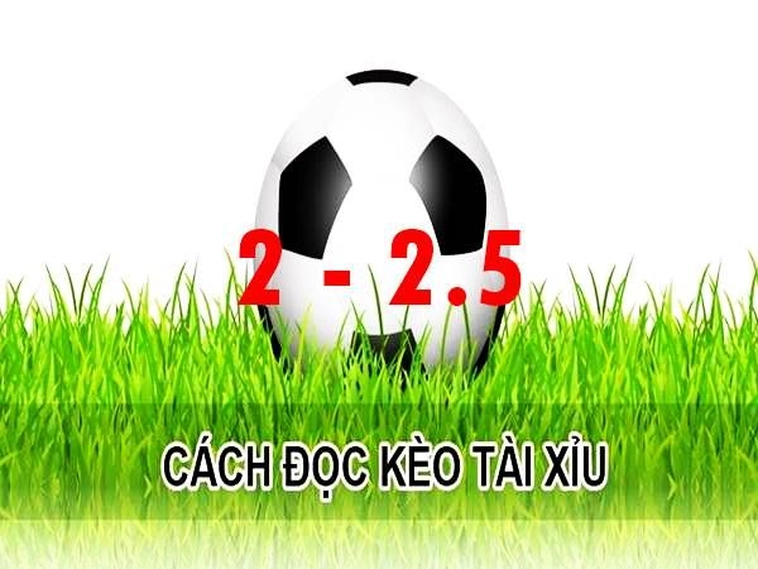 Hướng Dẫn Cách Chơi Kèo 2.25 Hiệu Quả Nhất Cho Người Mới
