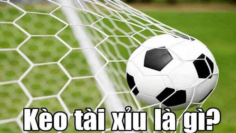 Hướng Dẫn Cách Chơi Kèo Tài Xỉu Bóng Đá Hiệu Quả Và Chính Xác
